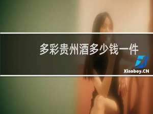 多彩贵州酒多少钱一件