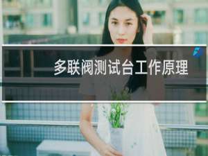 多联阀测试台工作原理