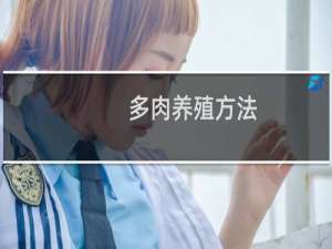 多肉养殖方法
