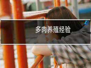 多肉养殖经验