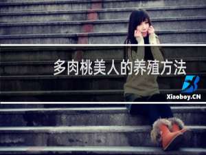 多肉桃美人的养殖方法