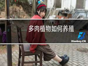 多肉植物如何养殖