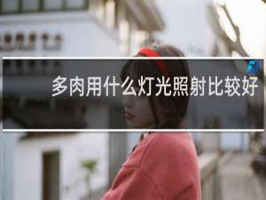 多肉用什么灯光照射比较好