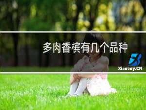 多肉香槟有几个品种