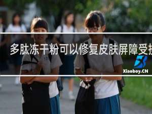 多肽冻干粉可以修复皮肤屏障受损吗