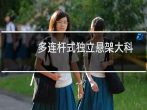 多连杆式独立悬架大科普（图解）