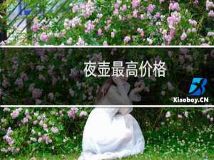 夜壶最高价格