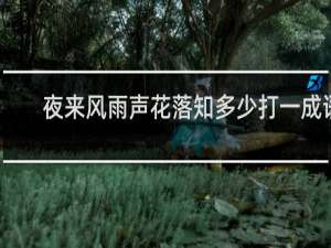 夜来风雨声花落知多少打一成语