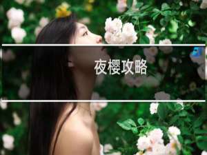 夜樱攻略