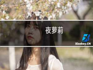 夜萝莉
