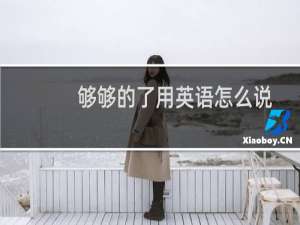 够够的了用英语怎么说（够够的了啥意思）