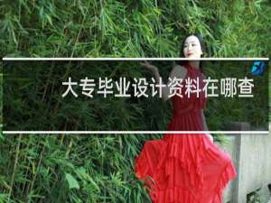 大专毕业设计资料在哪查