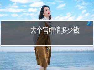 大个官帽值多少钱