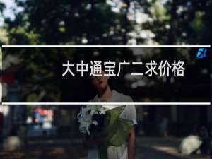 大中通宝广二求价格