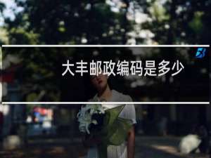 大丰邮政编码是多少
