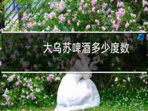 大乌苏啤酒多少度数