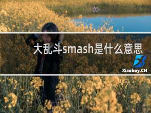 大乱斗smash是什么意思，网上smash是什么梗什么梗