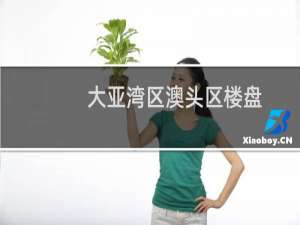 大亚湾区澳头区楼盘