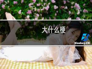 大什么梗
