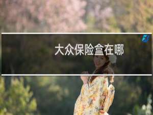 大众保险盒在哪