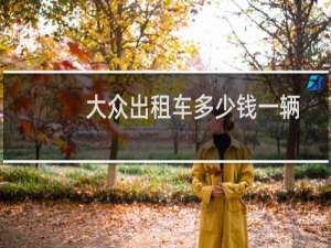 大众出租车多少钱一辆