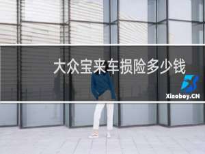 大众宝来车损险多少钱