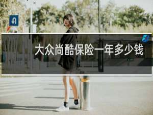 大众尚酷保险一年多少钱