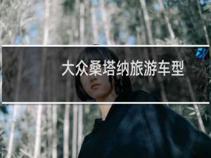 大众桑塔纳旅游车型