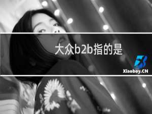 大众b2b指的是