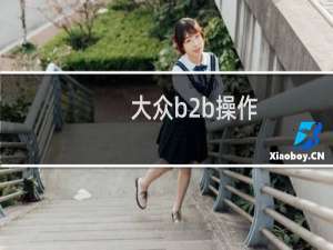 大众b2b操作
