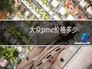 大众pmc价格多少