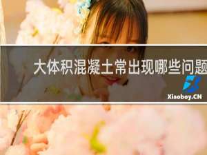 大体积混凝土常出现哪些问题