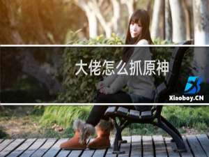大佬怎么抓原神