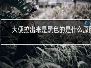 大便拉出来是黑色的是什么原因