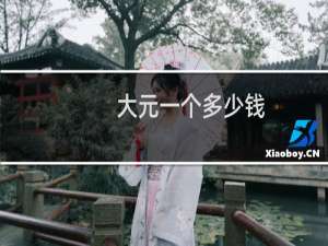 大元一个多少钱