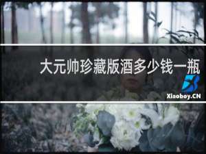 大元帅珍藏版酒多少钱一瓶