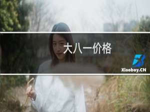 大八一价格