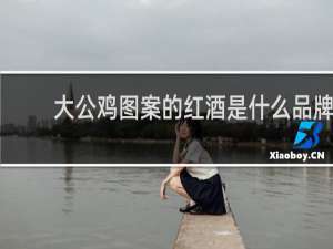 大公鸡图案的红酒是什么品牌