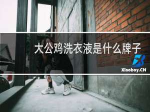大公鸡洗衣液是什么牌子