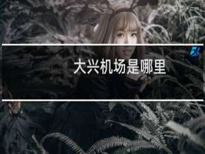 大兴机场是哪里