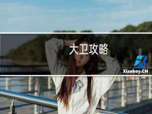 大卫攻略