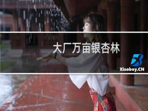 大厂万亩银杏林