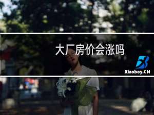 大厂房价会涨吗