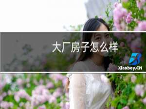 大厂房子怎么样