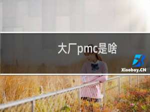 大厂pmc是啥