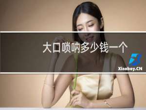 大口唢呐多少钱一个