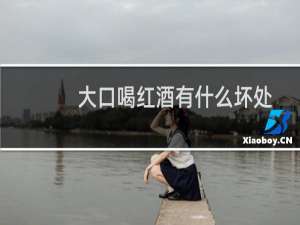 大口喝红酒有什么坏处