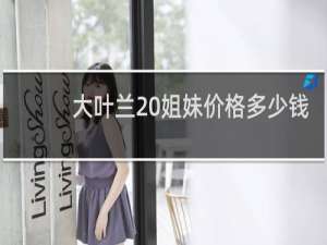大叶兰 姐妹价格多少钱