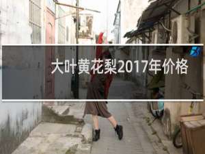 大叶黄花梨2017年价格