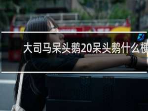 大司马呆头鹅 呆头鹅什么梗